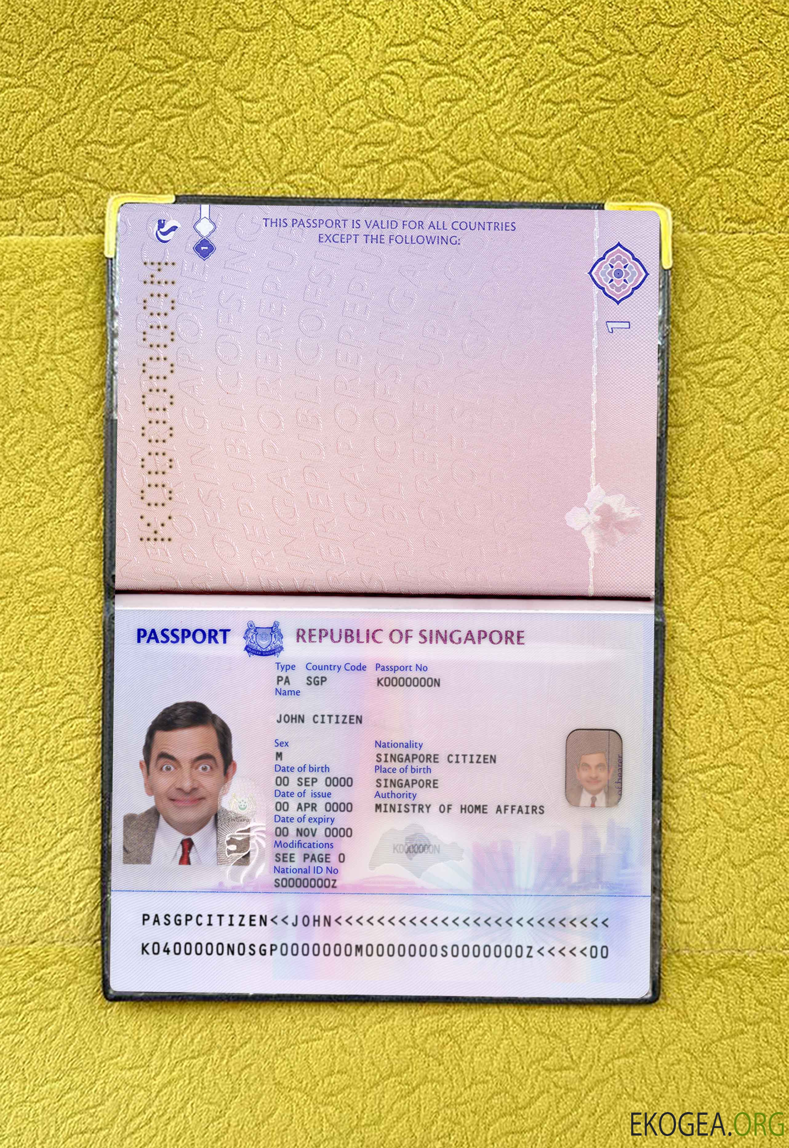 Look photo du nouveau passeport de Singapour (2017+)